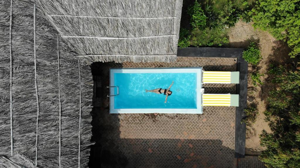 eine Aussicht über einen Pool mit einem Schmetterling im Wasser in der Unterkunft SpiceTree Chinnar in Dhali