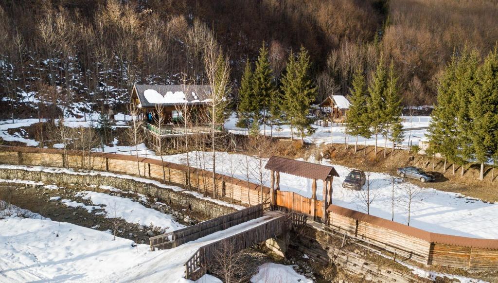 a snow covered yard with a fence and a house at Cabana La Panţiru in Văleni-Stînişoara