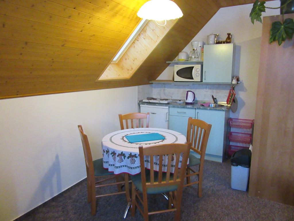Kuchyň nebo kuchyňský kout v ubytování Apartment Dvořáků
