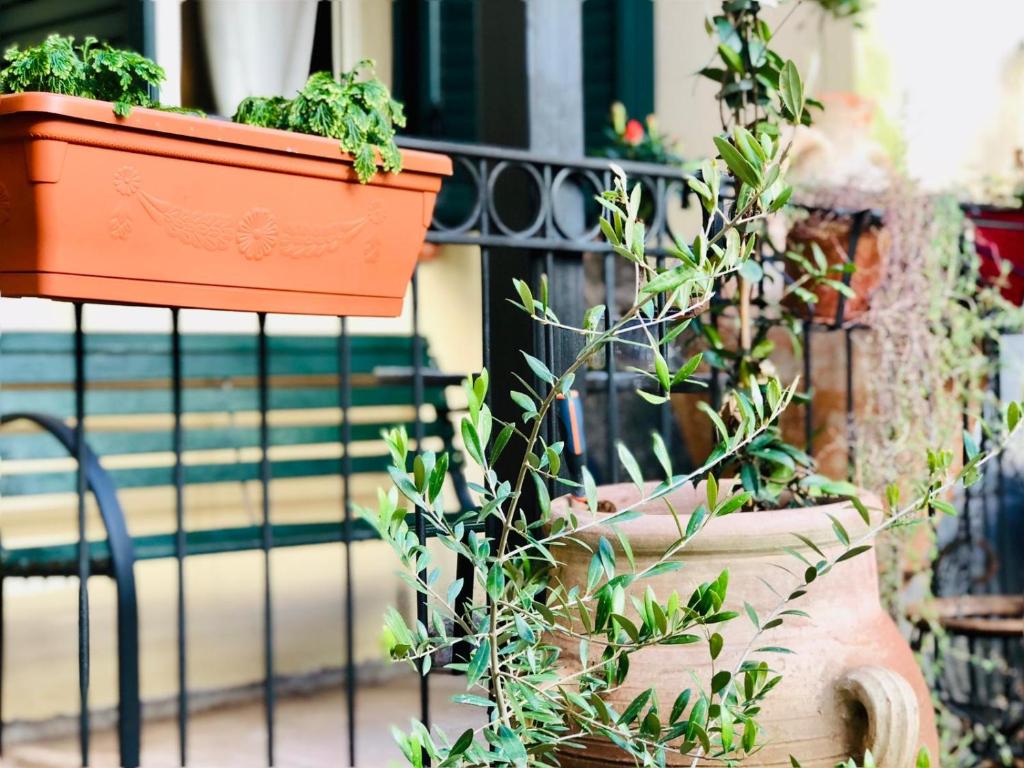 MAMARICO' APARTAMENT - 7