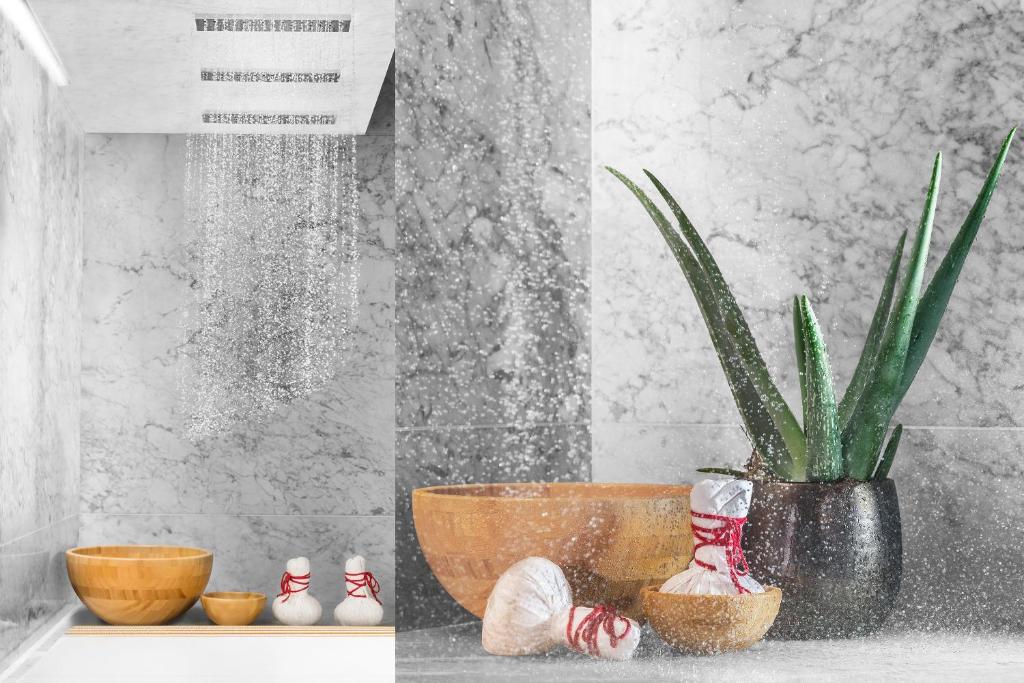 Maison Albar - Le Monumental Palace - Resim 35