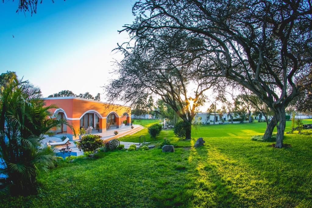 una casa de naranja en un patio verde con árboles en Monteverde Boutique Hotel en Pacasmayo