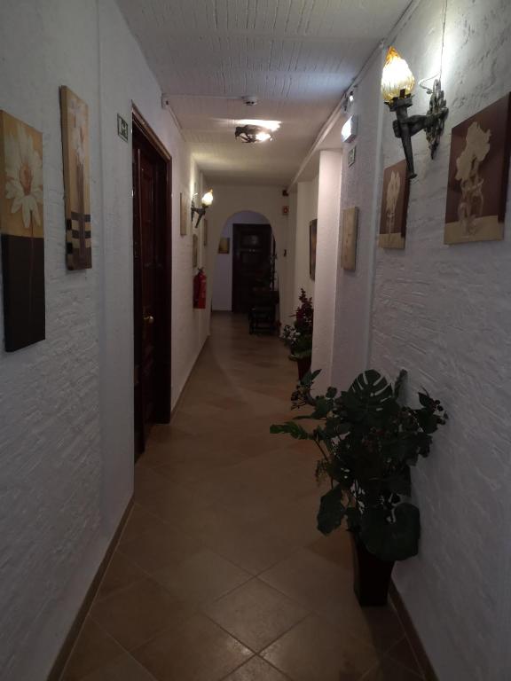 Hotel Nazareth - Resim 23