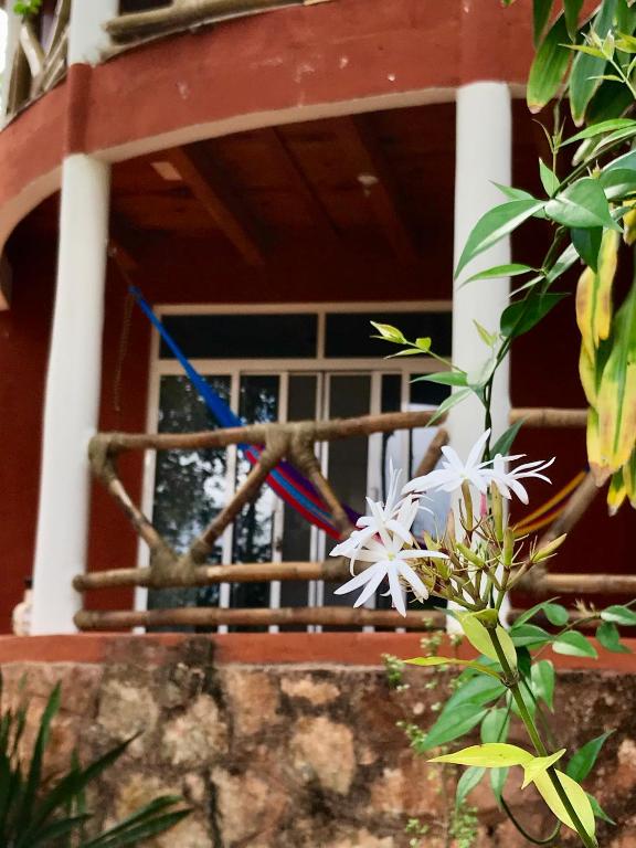 Balkón nebo terasa v ubytování Eco-Hotel Nueva Altia