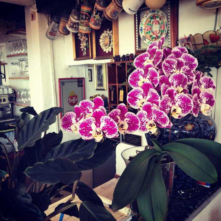 Villa Greta Hotel Rooms & Suites - 5