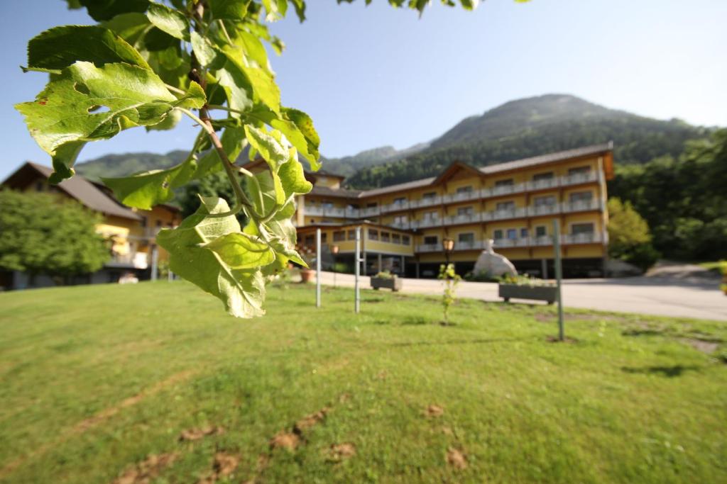 Nespecifikovaný výhled na hory nebo výhled na hory při pohledu z hotelu