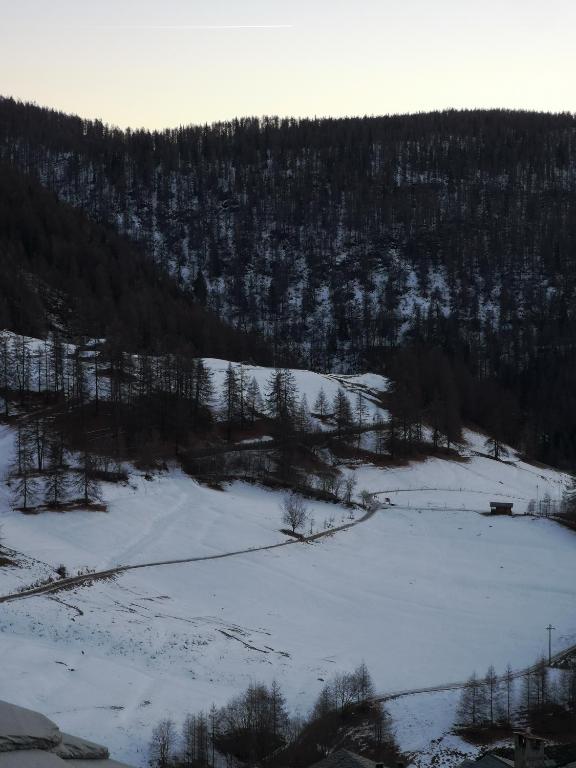 Příroda nedaleko apartmánu