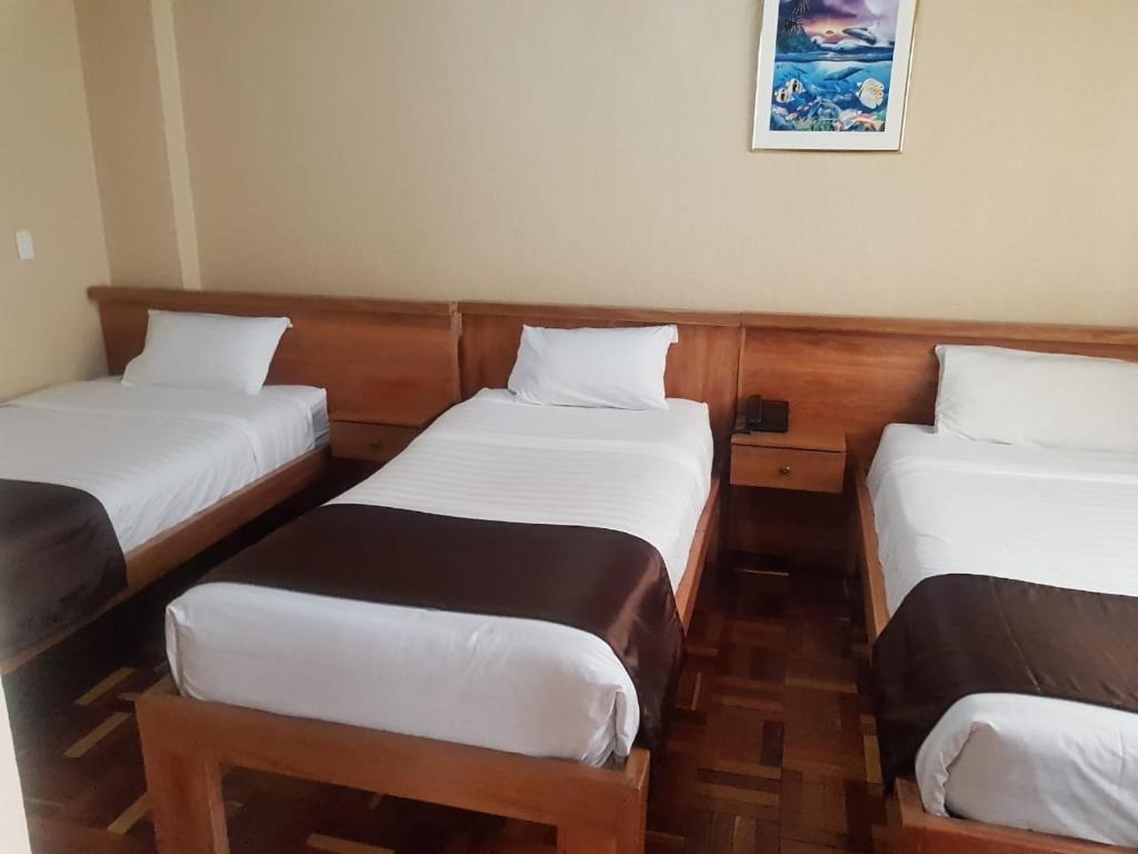 Postel nebo postele na pokoji v ubytování Hostal Loro Verde