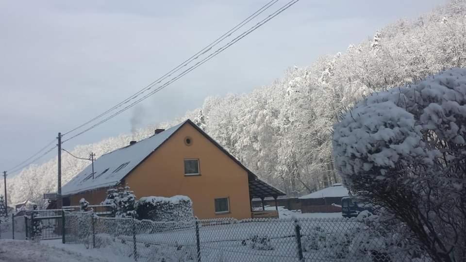 Pokoje Gościnne Nad Złotym Potokiem v zime