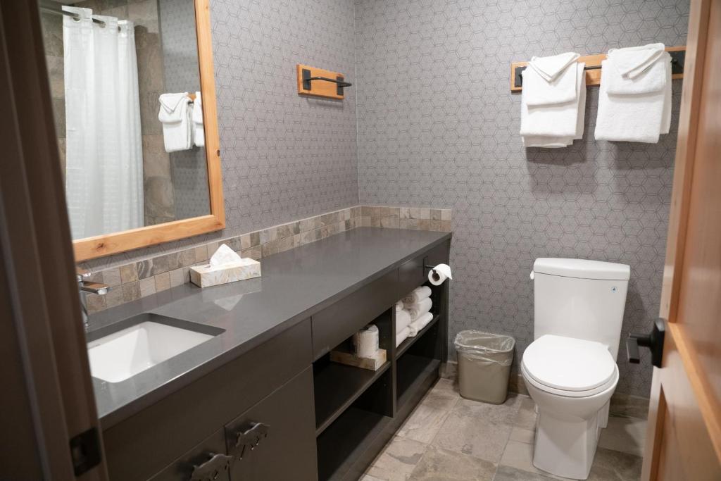 a bathroom with a sink and a toilet and a mirror at Banff Rocky Mountain Resort in Banff