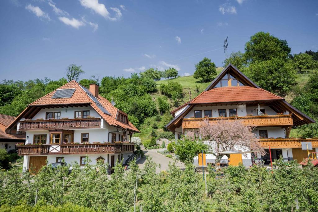 ein paar Gebäude auf einem Feld mit Bäumen in der Unterkunft Ferienwohnungen Müller in Haslach im Kinzigtal