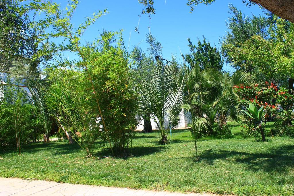 a park with trees and plants in the grass at Green Garden Eco-Holiday in Vieste