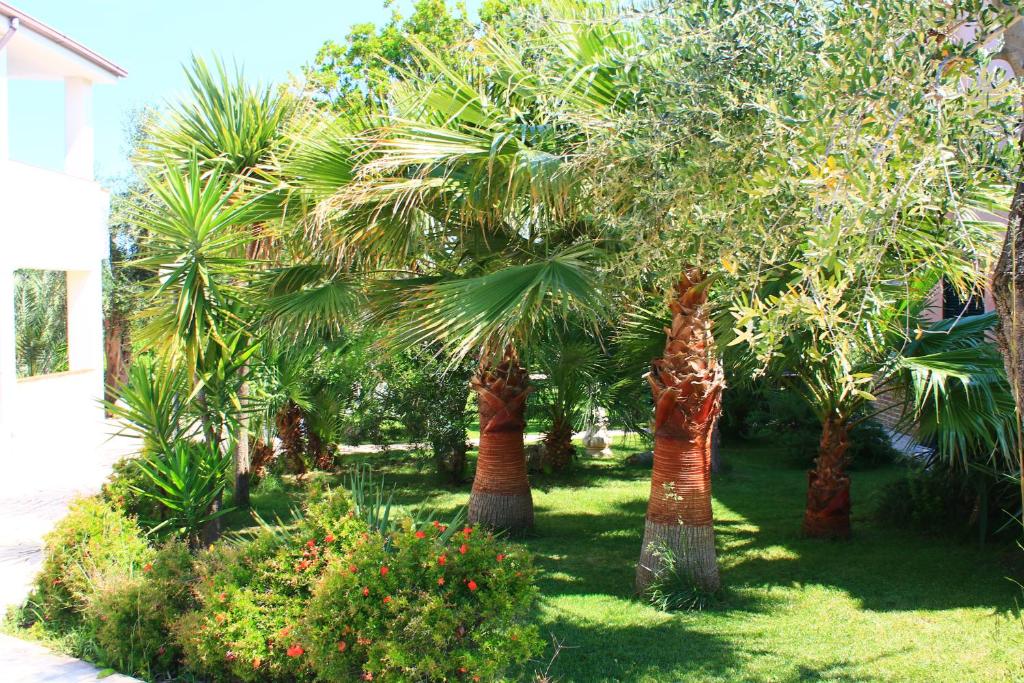 a group of palm trees in a yard at Green Garden Eco-Holiday in Vieste