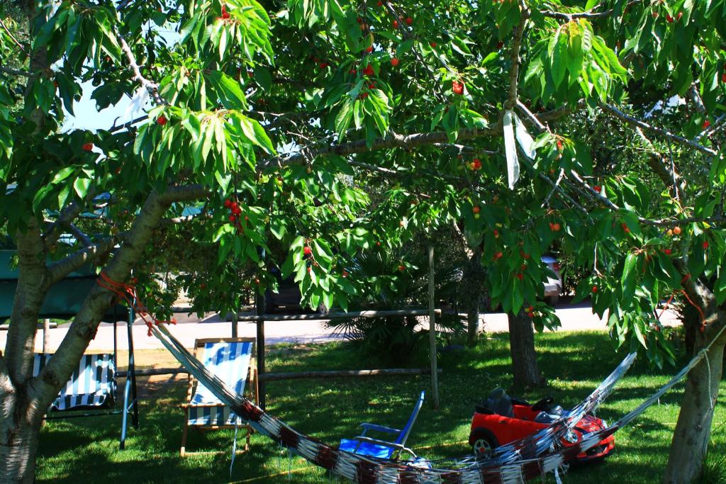a hammock hanging from a tree in a yard at Green Garden Eco-Holiday in Vieste