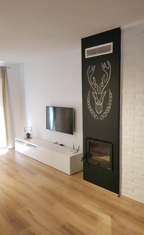 TV a/nebo společenská místnost v ubytování Apartment Penthouse Mak