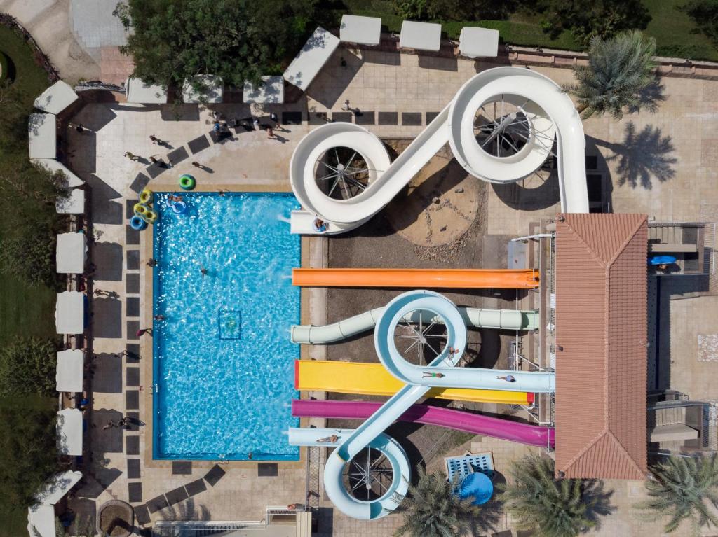 an overhead view of a swimming pool with an olympic symbol at Desert Rose Resort in Hurghada