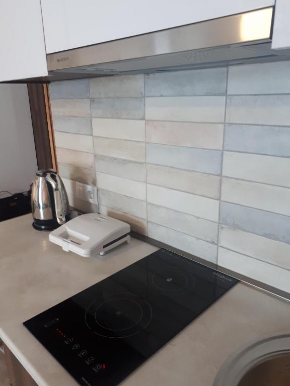Kuchyň nebo kuchyňský kout v ubytování New Gudauri, loft 2, Apartment 309, RED CO