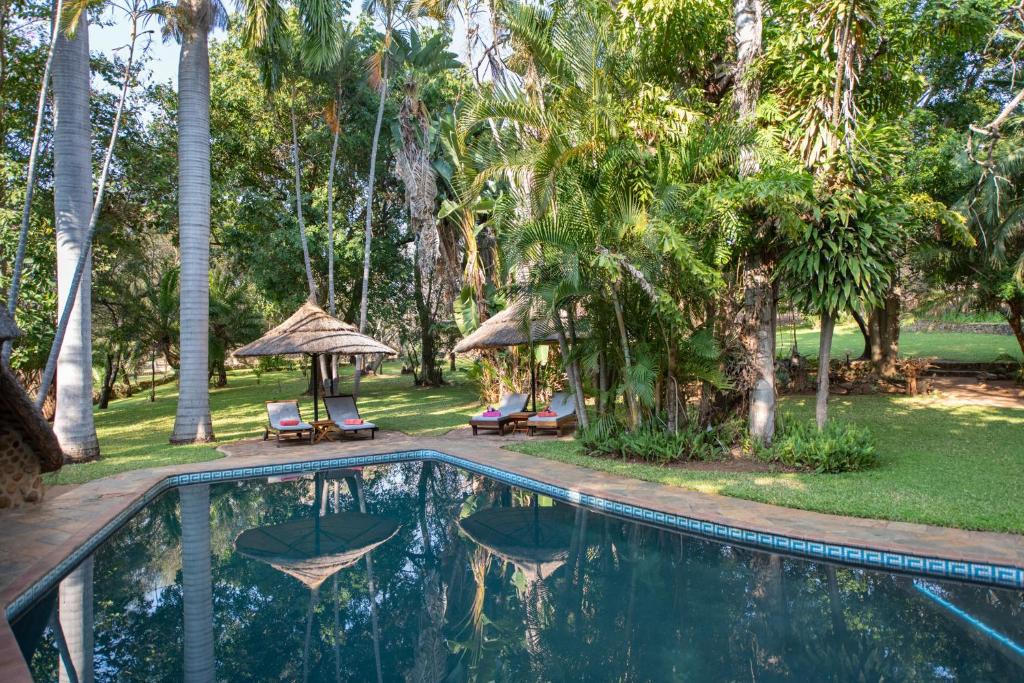 a swimming pool in a resort with palm trees at Blyde River Wilderness Lodge in Hoedspruit