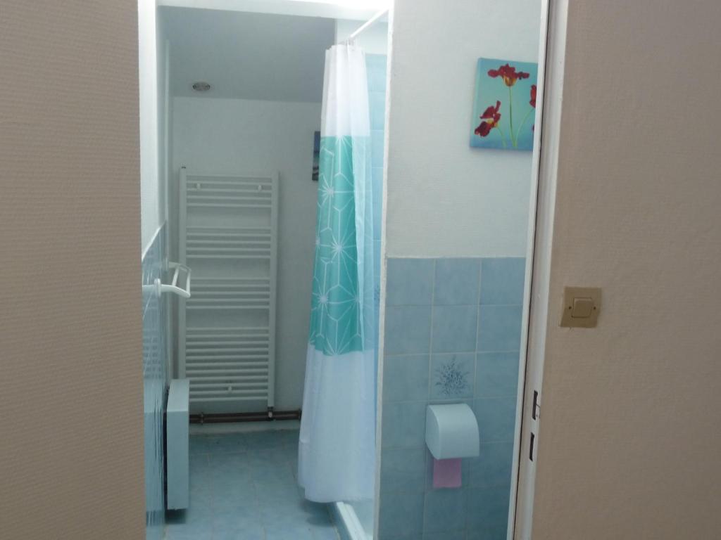une salle de bain avec une douche avec un rideau de douche dans l'établissement Les Tuileries, à Ponteyraud