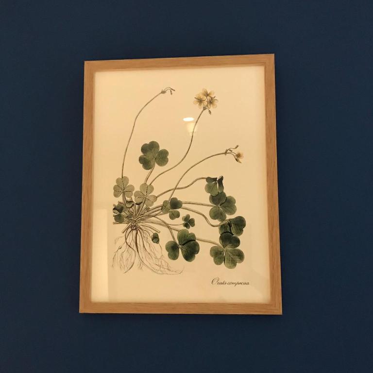 Hôtel Le G (ex Le Genève) - Resim 42