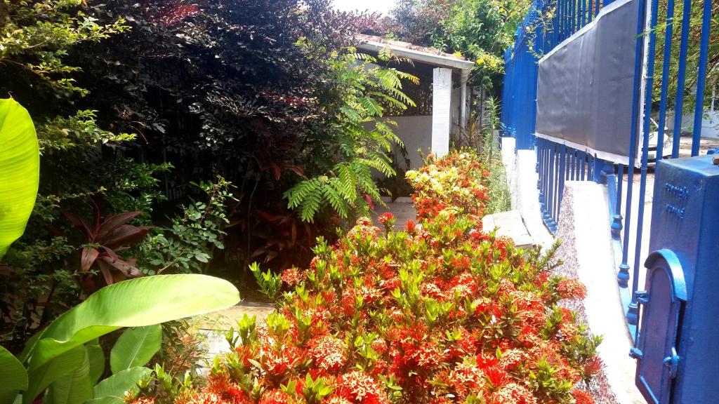  Casa em Cabo Frio/RJ - Locação