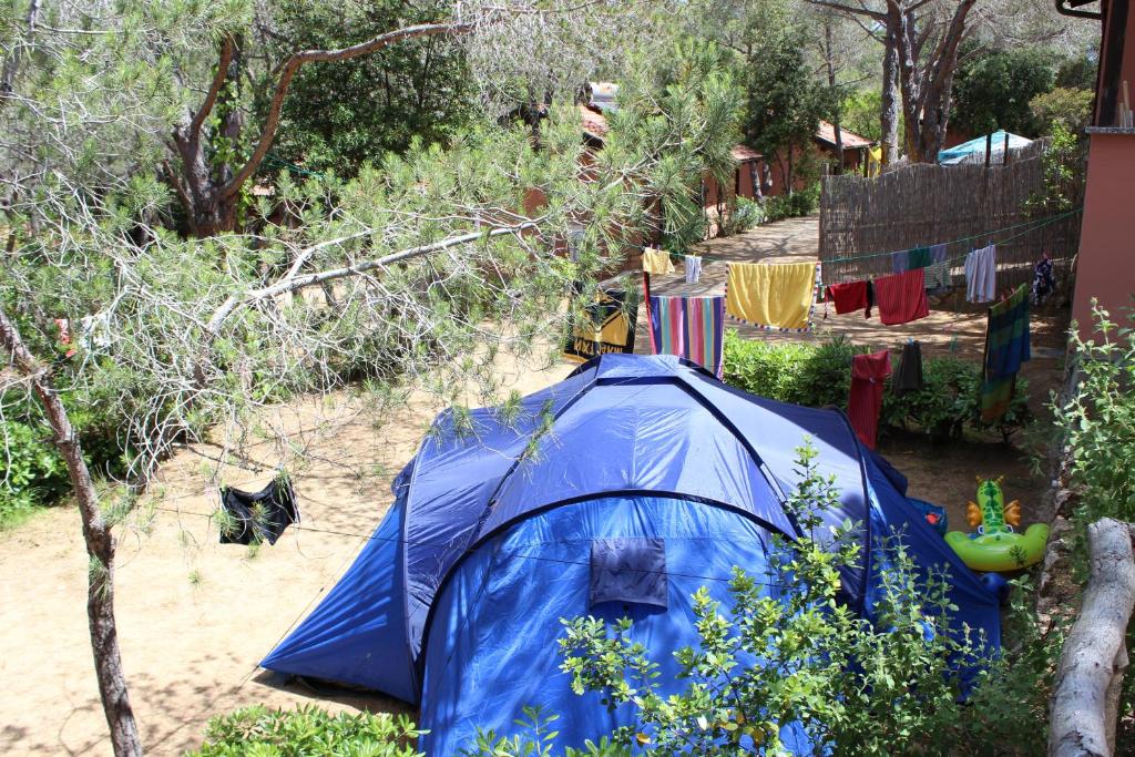 Zahrada ubytování Camping Lacona Pineta
