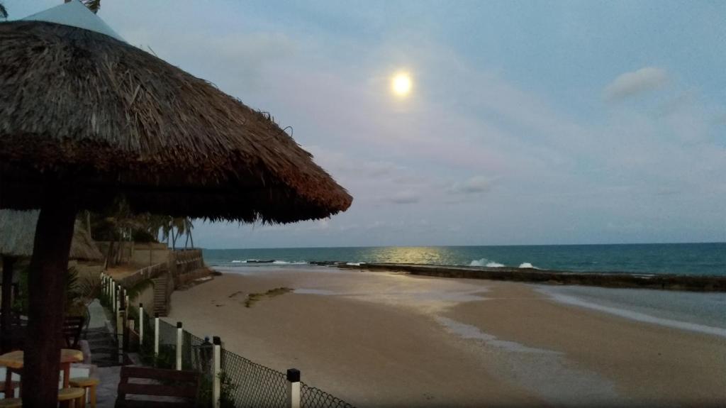  Pontal do Sonhos- Chalé Árvore Praia
