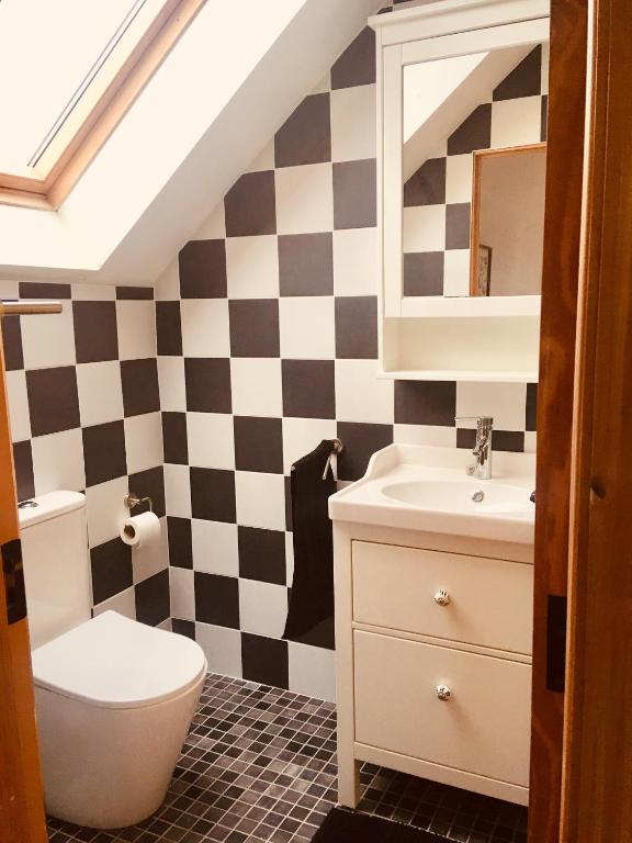 un bagno con un water e un lavandino di 2 Caragh Glen a Killorglin