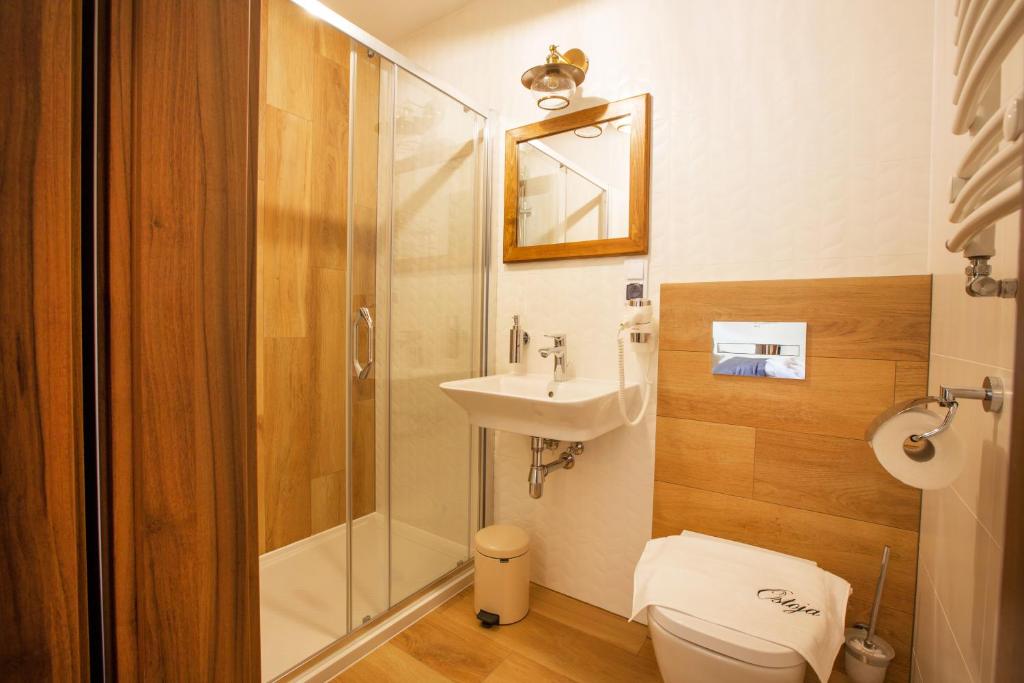 Willa Ostoja Wellness - 5