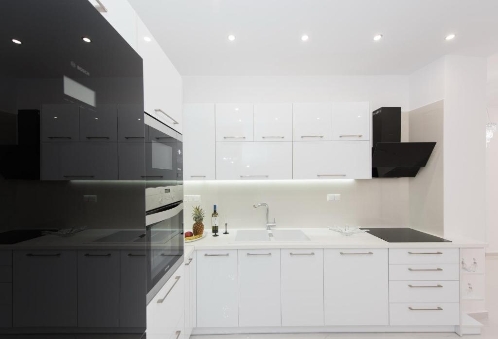 Kuchyň nebo kuchyňský kout v ubytování Despina's Luxury apt downtown