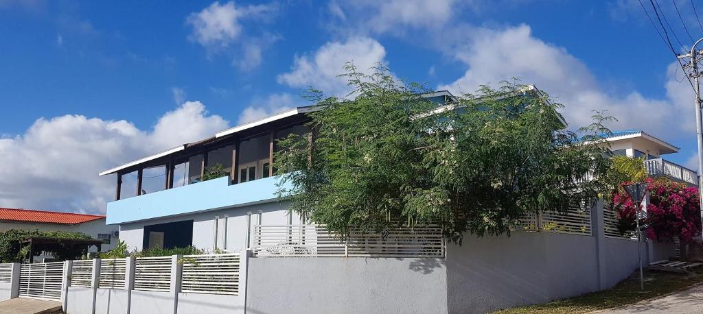 un edificio blanco con un árbol delante en Guesthouse Curacao, en Willemstad