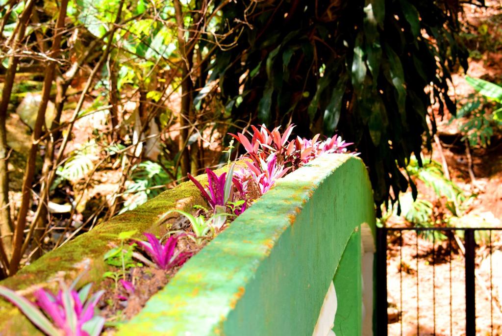 Hotel Moinho de Pedra