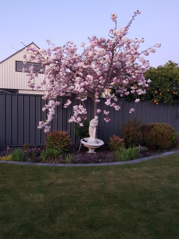 uma árvore com flores cor-de-rosa num quintal em Liz on Lowry em Hastings