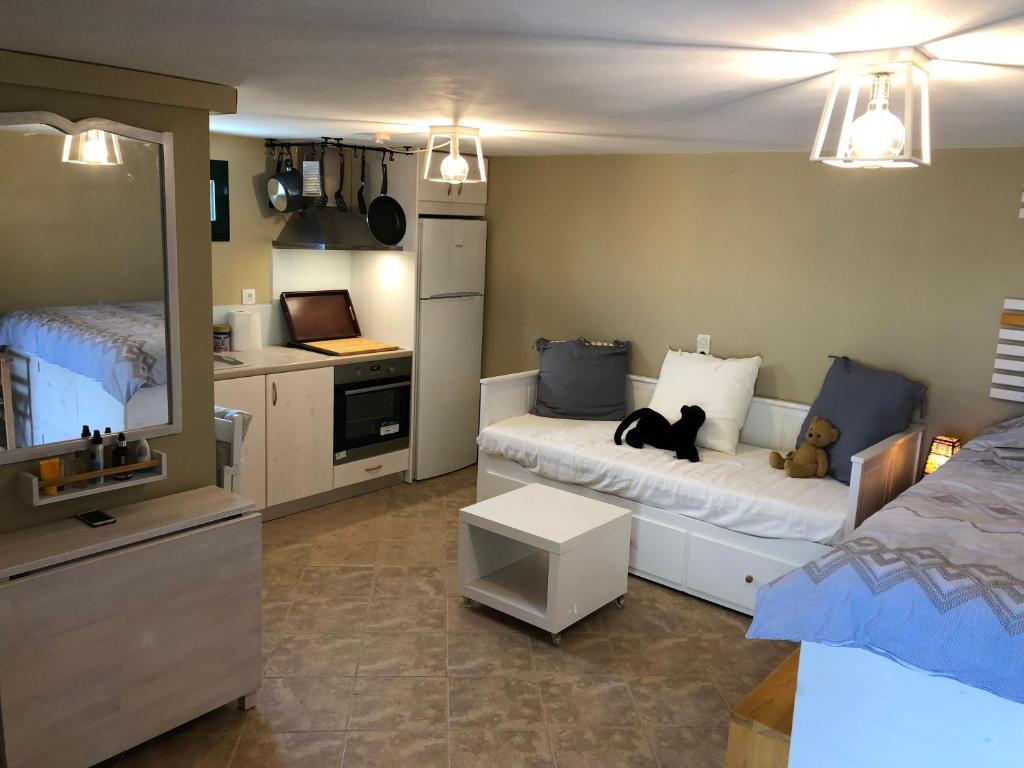 Kuchyňa alebo kuchynka v ubytovaní Papaduke House