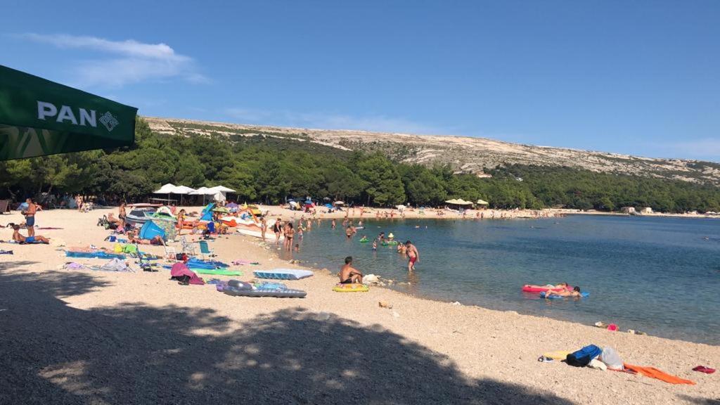 a group of people on a beach in the water at Stara Kuća Apartments in Šimuni