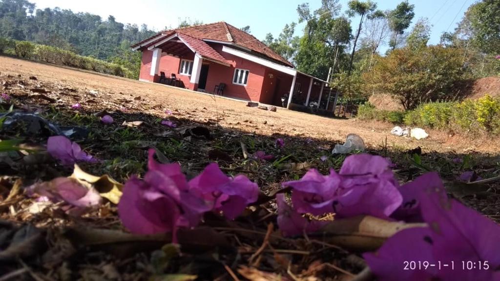 een groep paarse bloemen voor een huis bij Agua in Sakleshpur