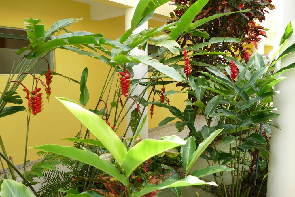  Apartamentos Araraquara