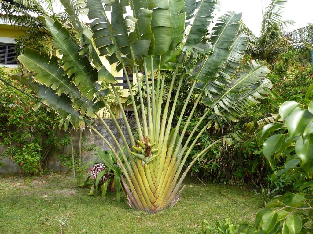  Apartamentos Araraquara