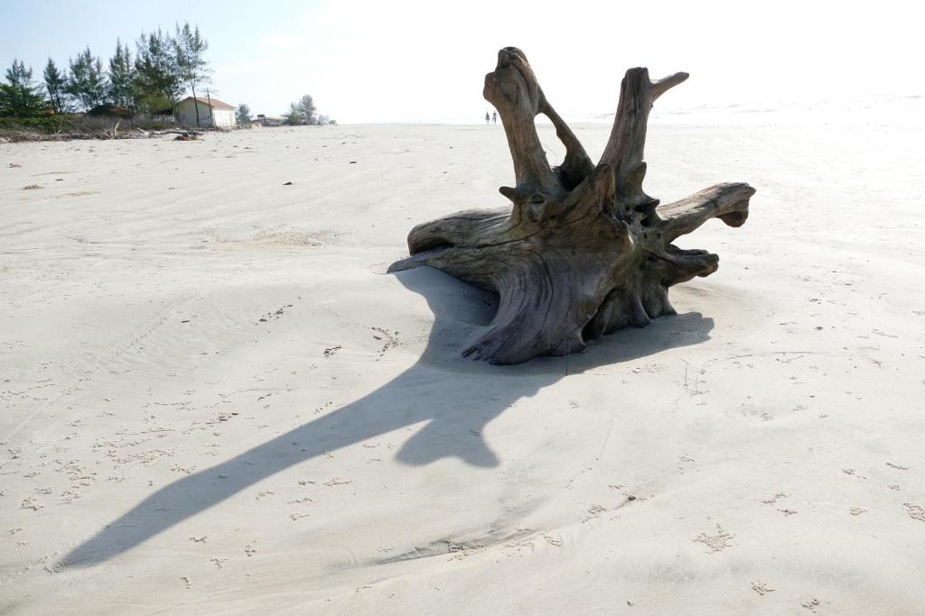  Apartamentos Araraquara