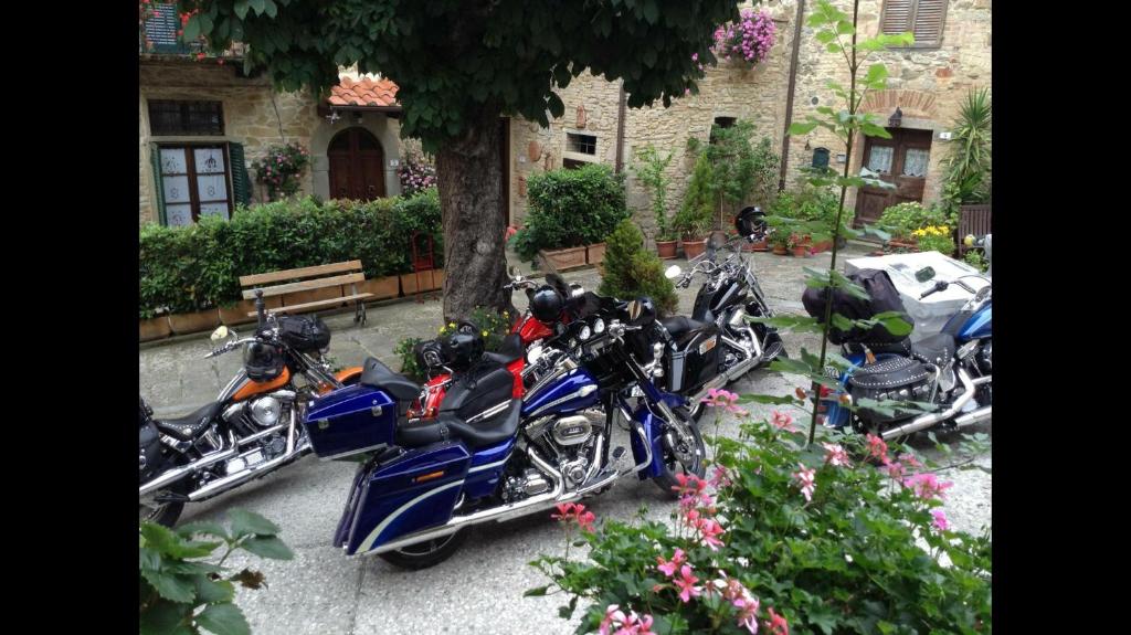 un grupo de motocicletas estacionadas junto a un árbol en La Casa Duchessa, en Chianni