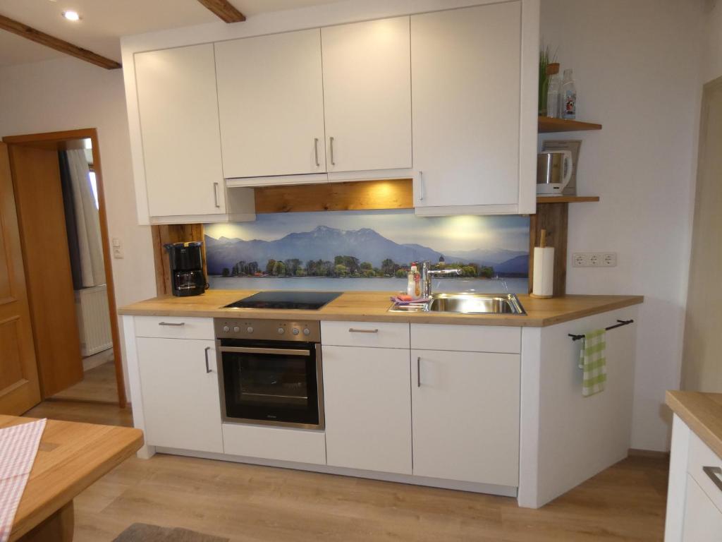 Kuchyň nebo kuchyňský kout v ubytování Apartments Donebauer