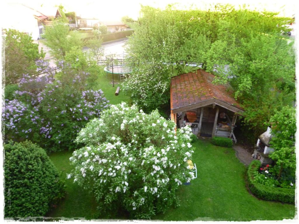 Zahrada ubytování Apartments Donebauer