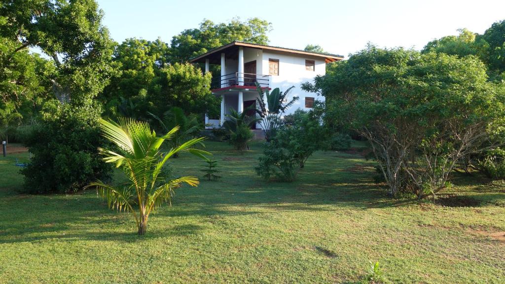 a house in the middle of a yard with trees at Salt Lake Cabanas & Restaurant in Tangalle