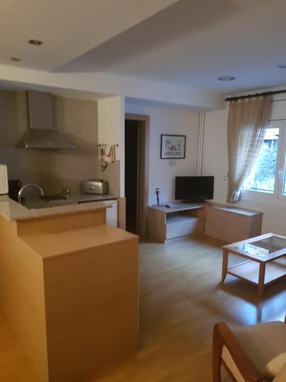 Kuchyň nebo kuchyňský kout v ubytování Apartaments Turistics Pirineu
