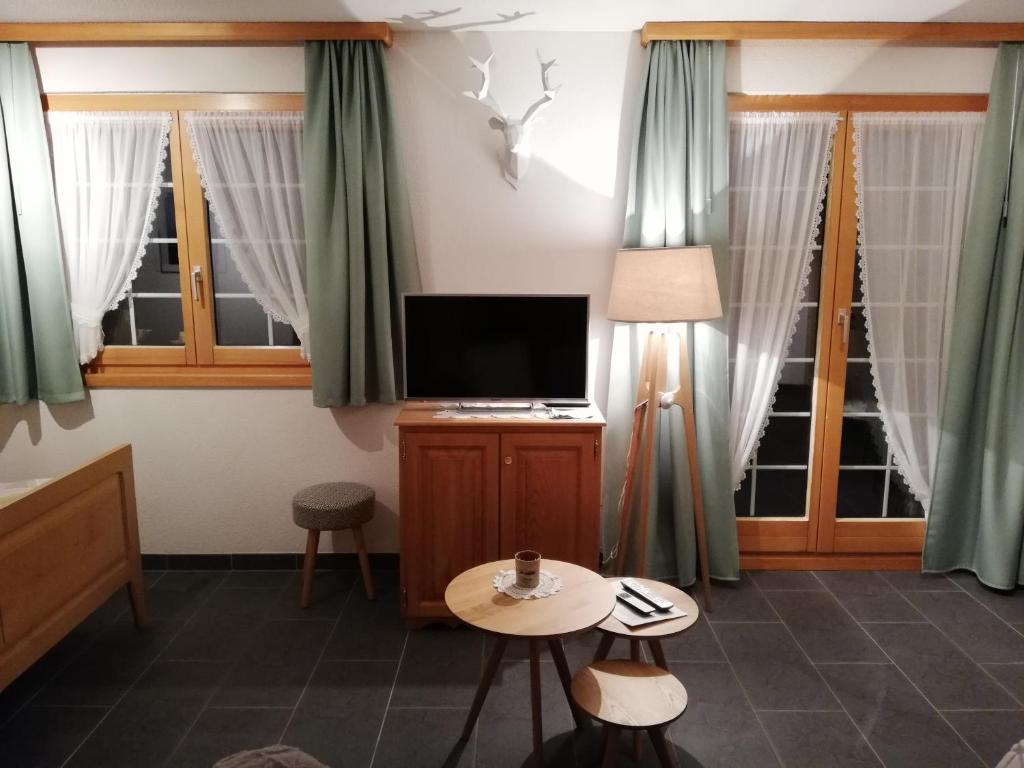 TV a/nebo společenská místnost v ubytování Studio Bel-Hüs / Bel-Häx