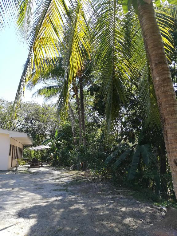 Fotografie z fotogalerie ubytování Casa Taupe v destinaci Carrillo