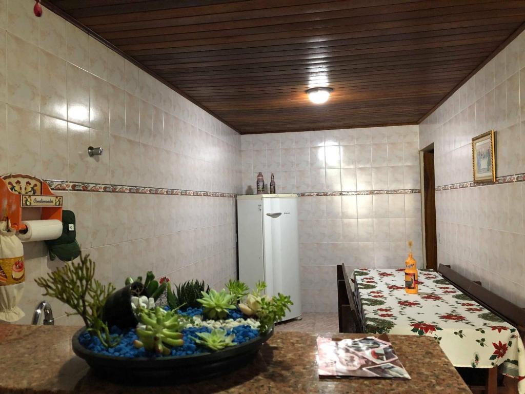  Casa anexa com lareira