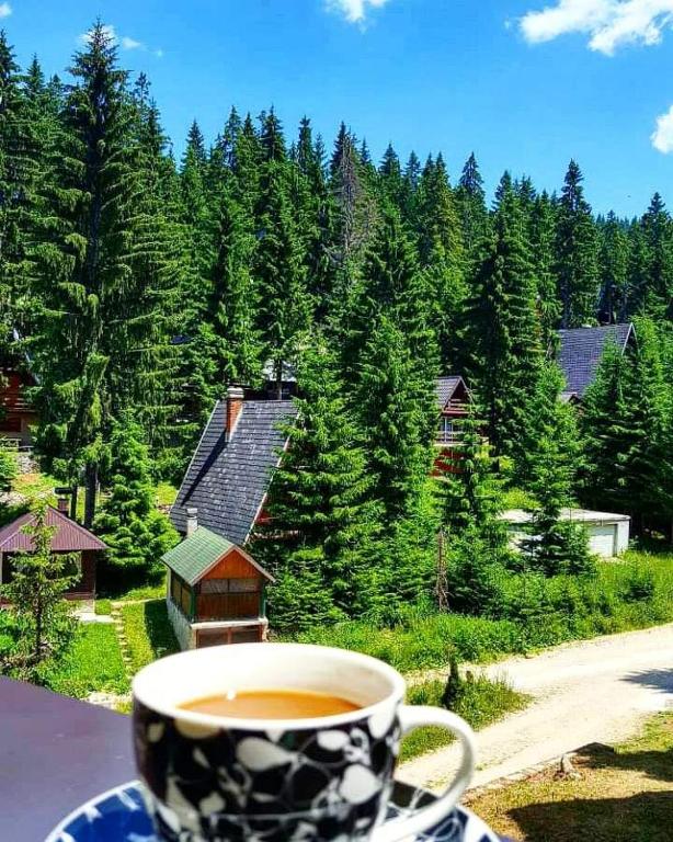 Příroda nedaleko apartmánu