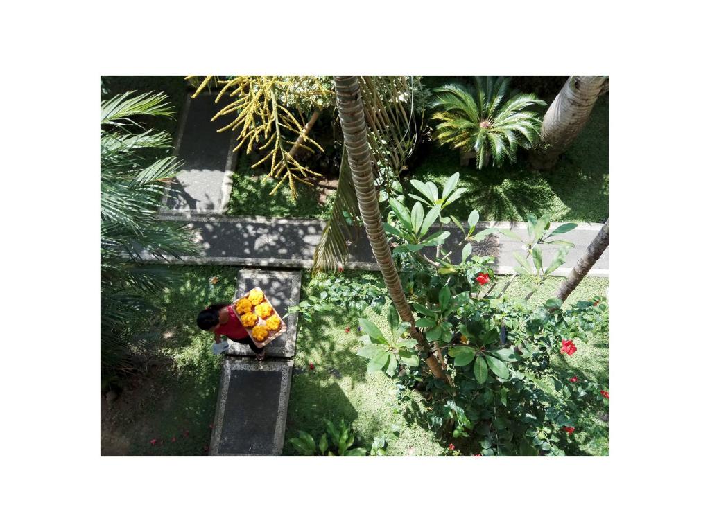 Zahrada ubytování In Da Garden