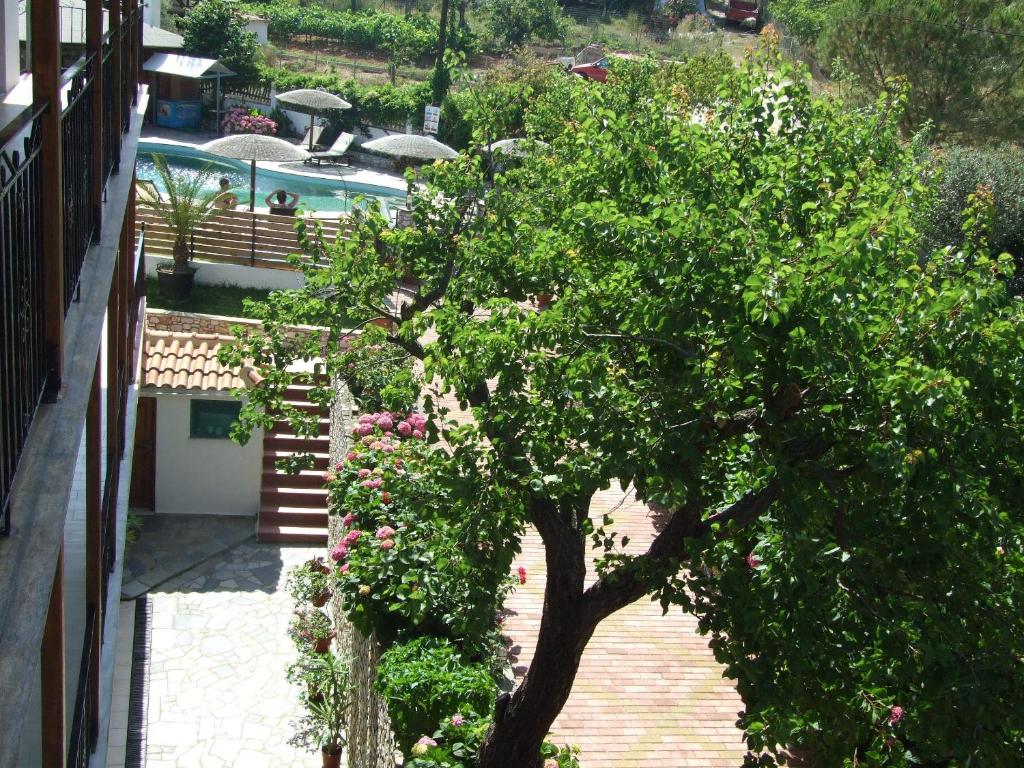 Zahrada ubytování Skiathos Argento